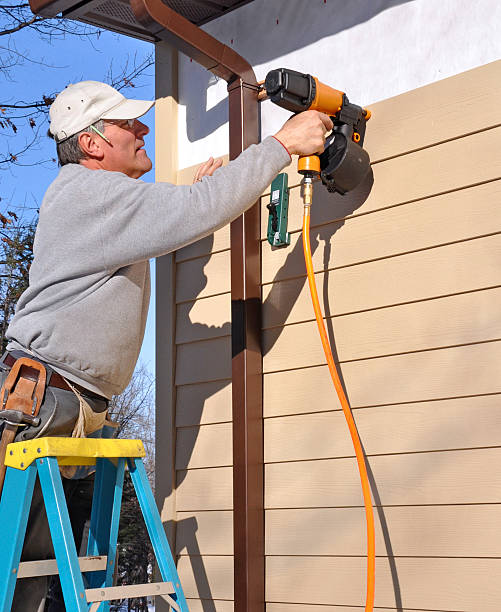 Best Steel Siding Installation  in Buena, NJ